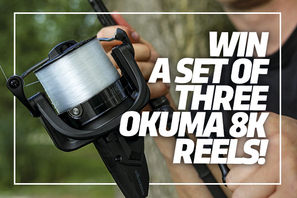 shimano fx vs sienna Shimano FX  Stil Fishing