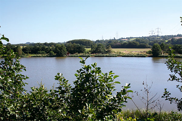 Lodge Lake, Cefn Mably Lakes | South Wales | Total Carp