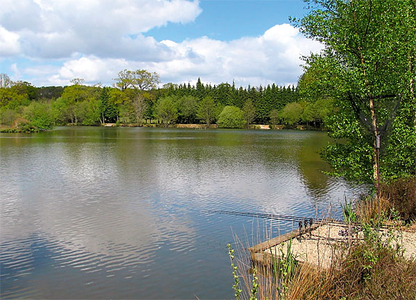 Lac Clement, Mortain France Total Carp