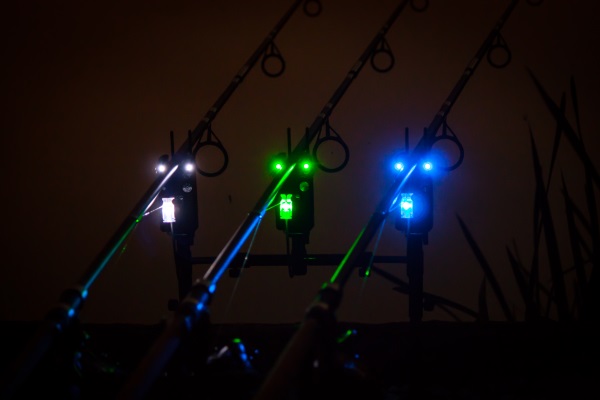 7_Carping_In_Brevonnes.jpg