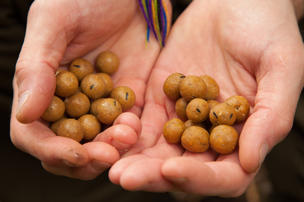 SEQUENCE 02 STEP 03 Introduce equal amounts of paste and boilied baits to the area Jimmy