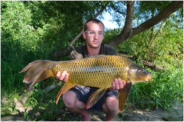 fish 3