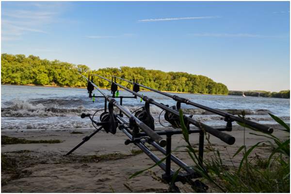 rods