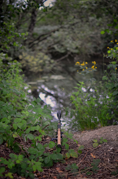 Lewis TC Spring Blog 3