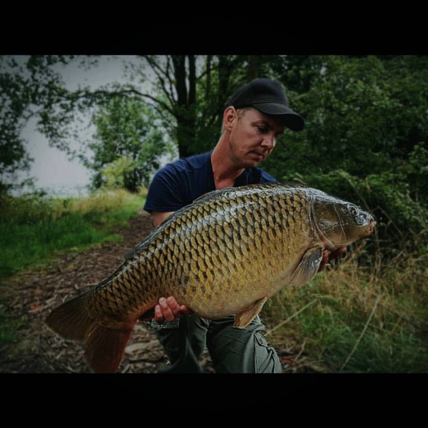 oaksfrankcommon