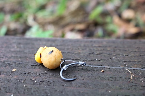 corn bollie