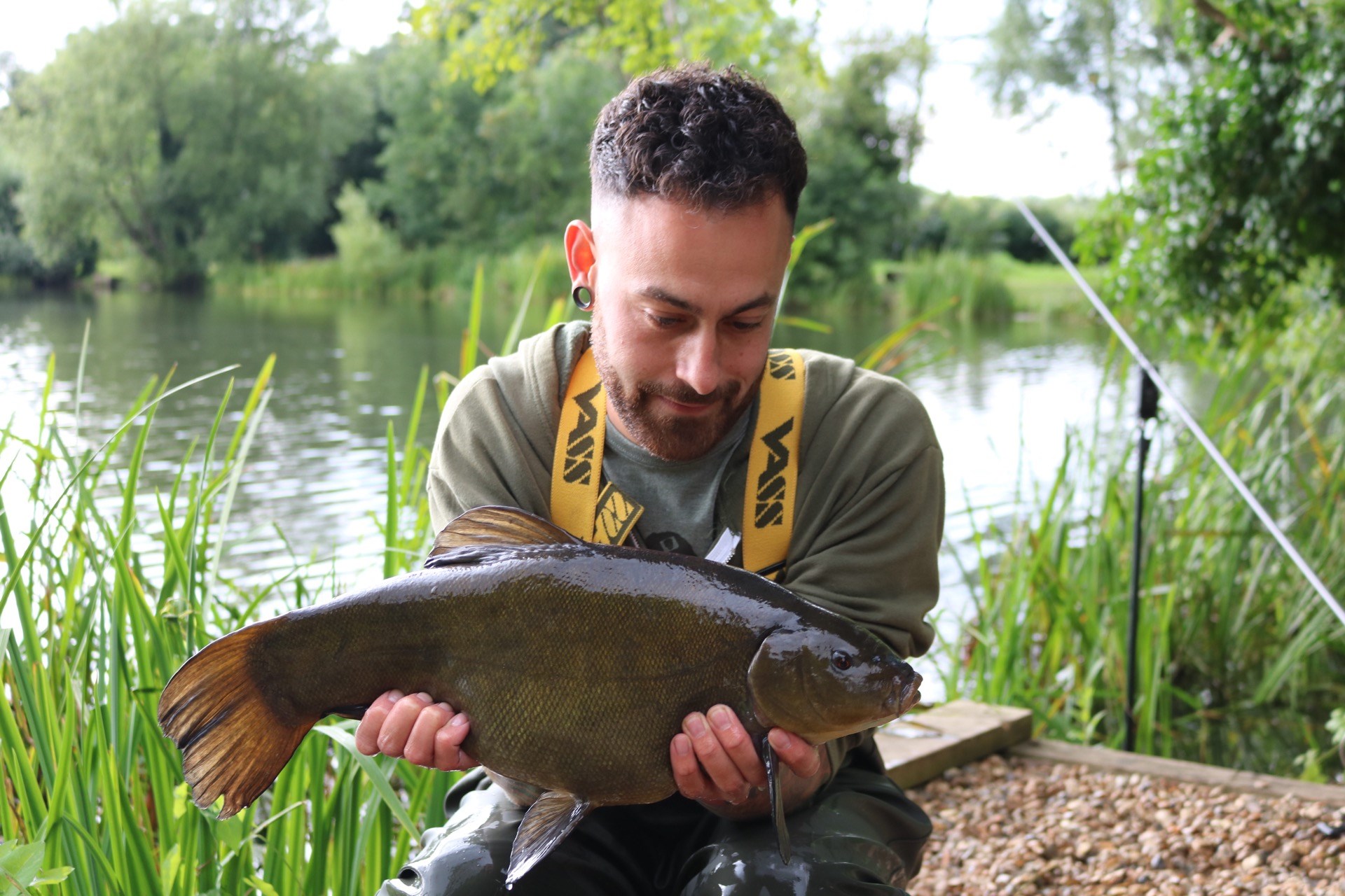 tench