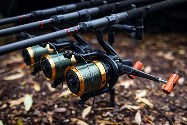 daiwa emblem 45 scw gold