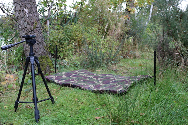 image3.JPG
