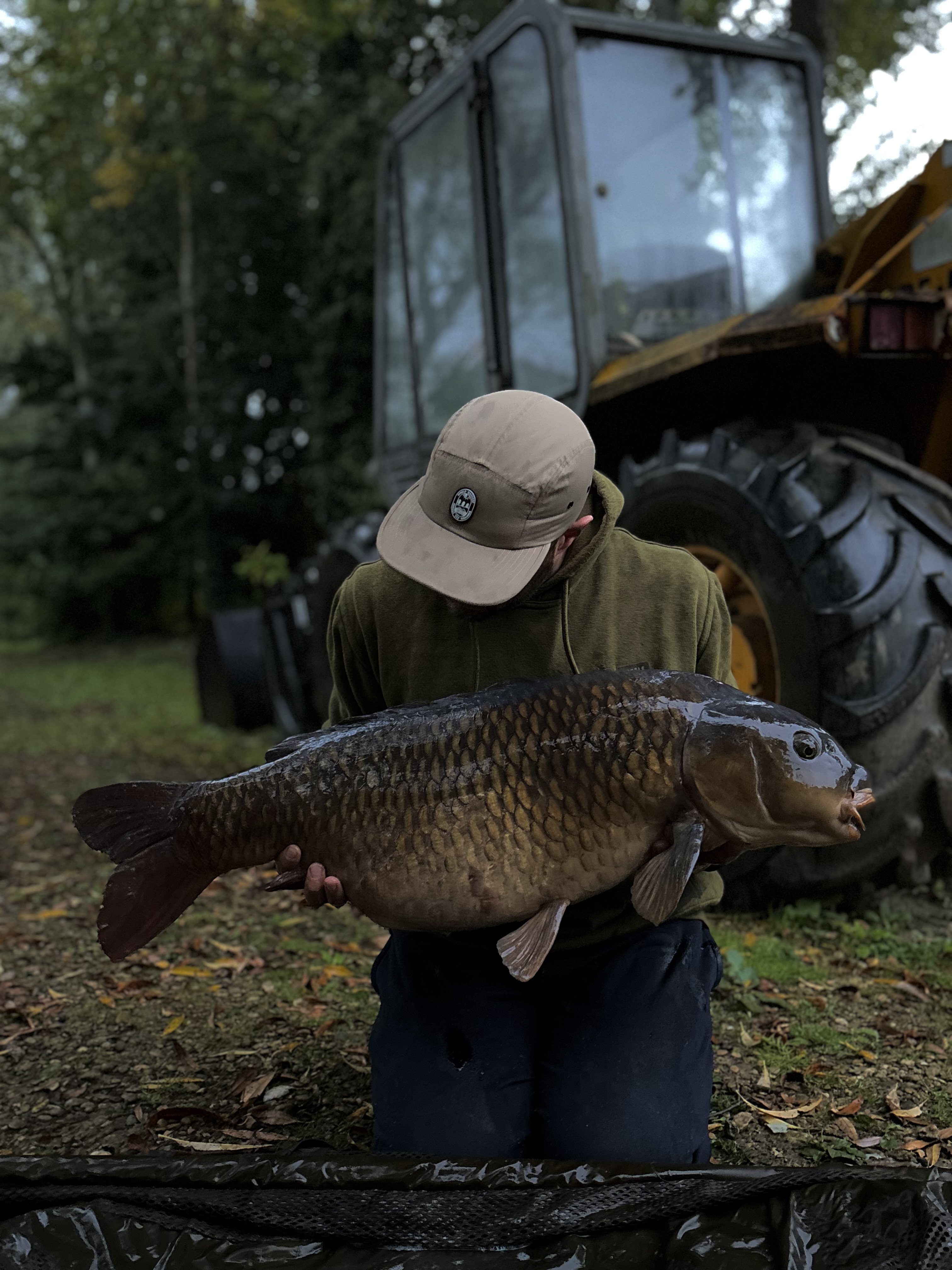 Bull Head | Total Carp
