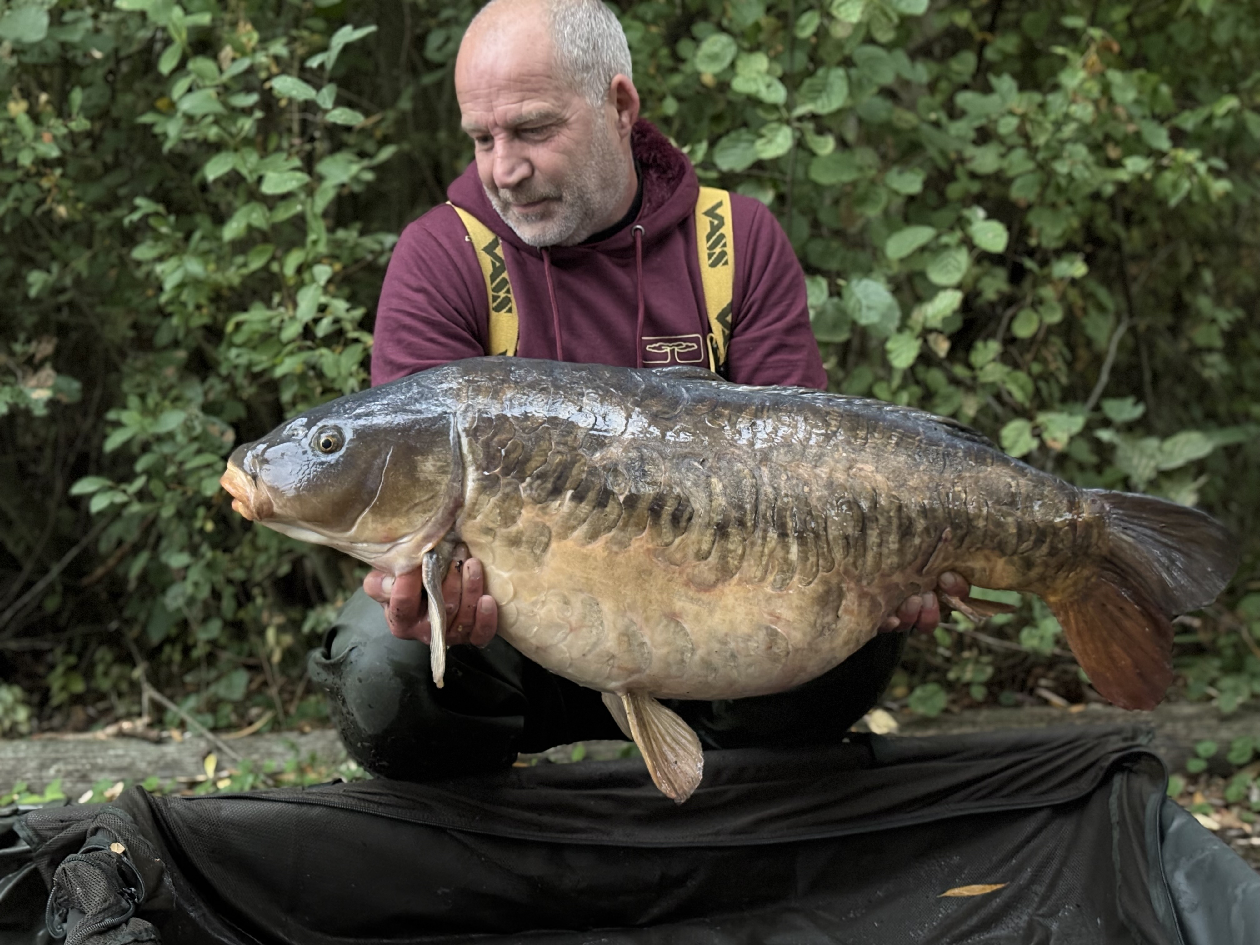 Mirror carp | Total Carp