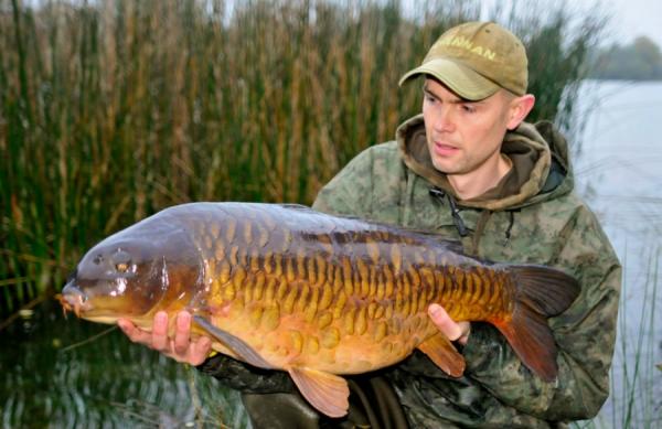 Artificial Maggots Fool Fully Scaled Mirror!