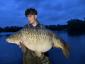 Thomas Kearns08's picture Thomas Kearns08's picture